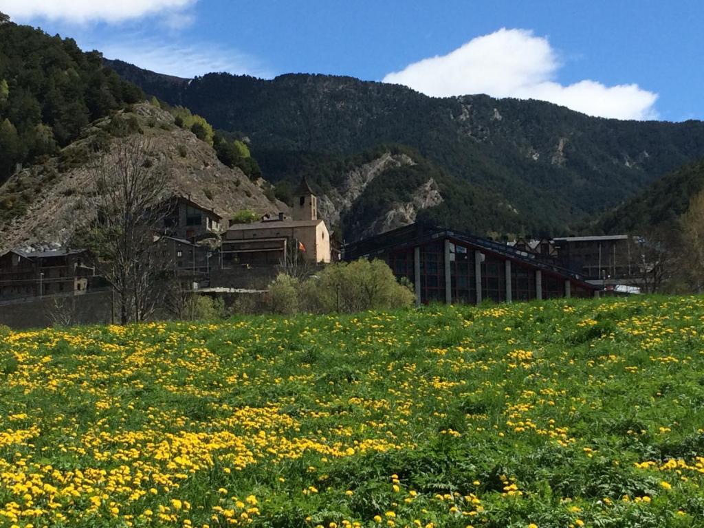 Hotel Ordino Zimmer foto